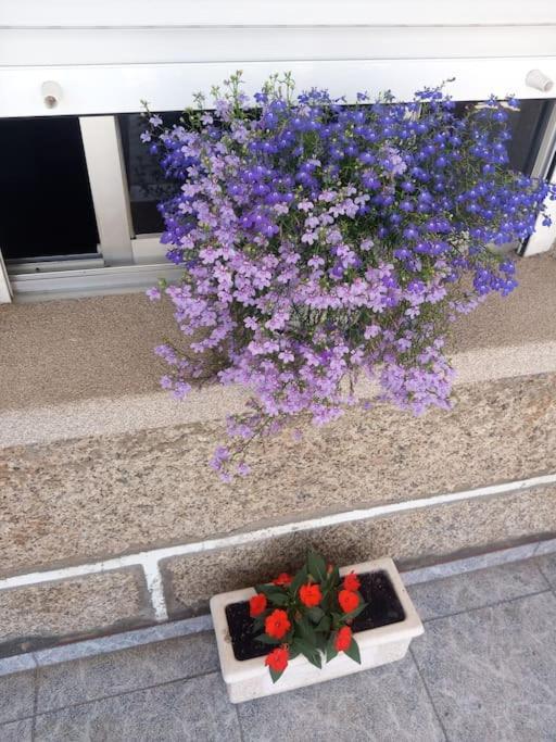 Precioso Apartamento En San Vicente De O Grove 산 비센테 데 오 그로베 외부 사진